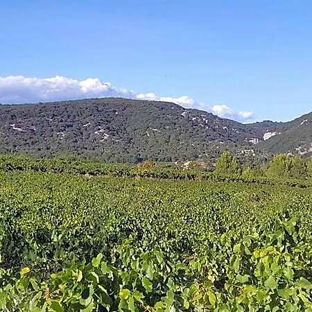 Les Terrasses Du Roc Saint-André-de-Roquepertuis